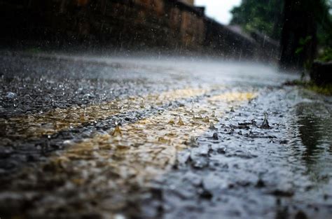 下雨時|你聞過下雨的味道嗎？讓我們一同探究它是怎麼產生的吧！